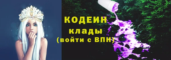 дживик Богородицк