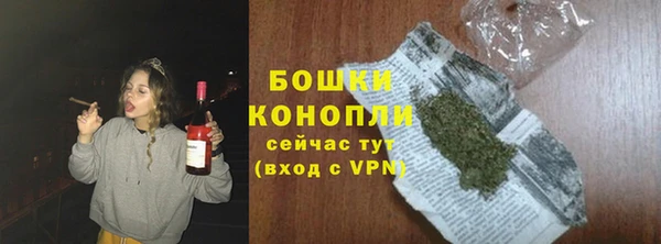 тгк Богданович