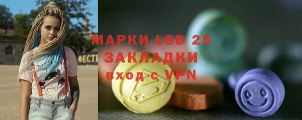 дживик Богородицк