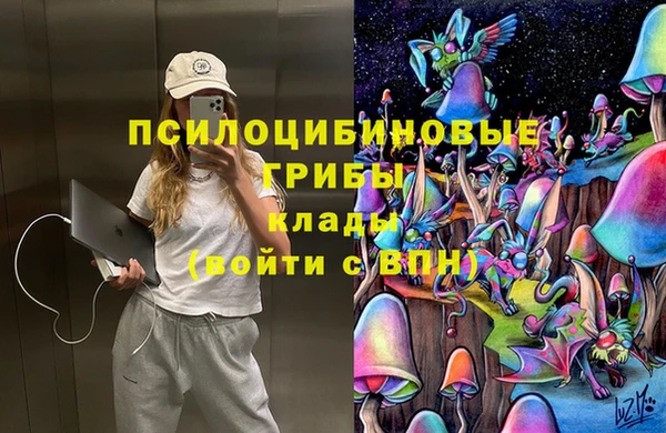 тгк Богданович