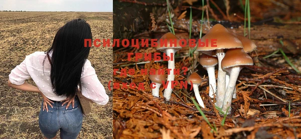 прущие грибы Уссурийск